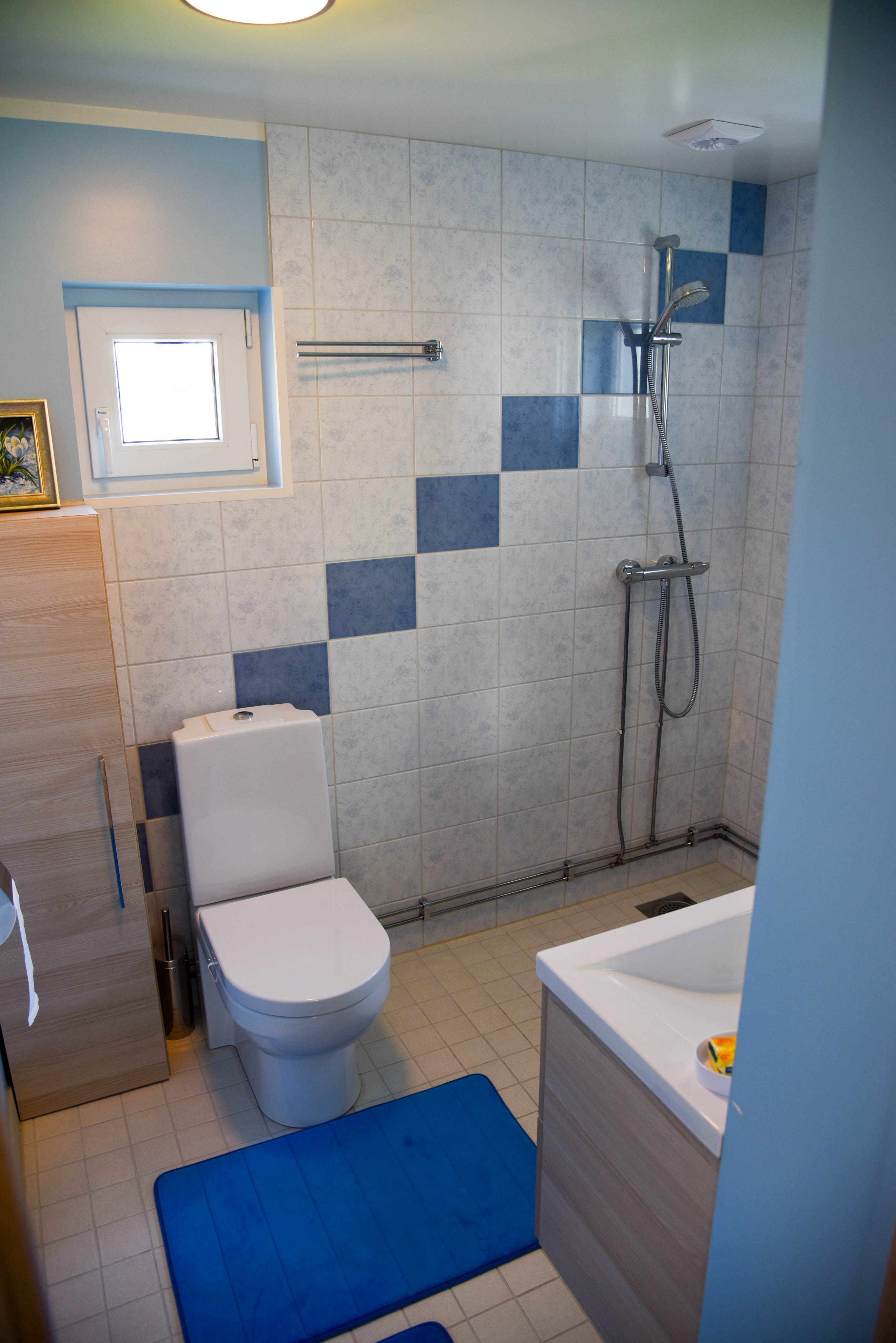 Avar vannituba sinise mosaiigi, dušiga ja WC-ga